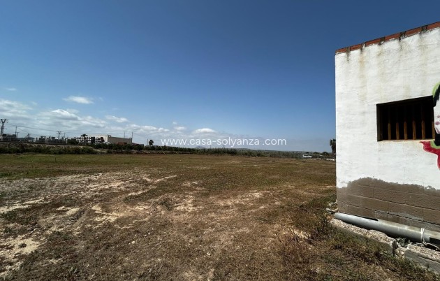Revente - Land - San Miguel de Salinas - San Miguel Salinas