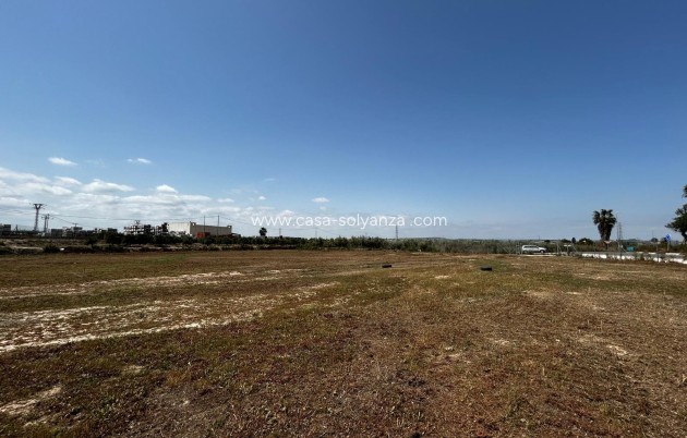 Revente - Land - San Miguel de Salinas - San Miguel Salinas