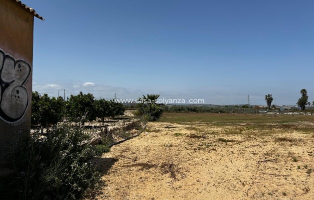 Revente - Land - San Miguel de Salinas - San Miguel Salinas
