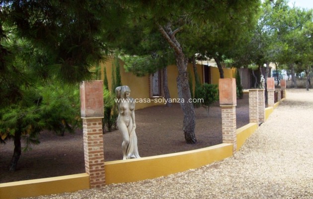 Resale - Country Property/Finca - Ciudad Quesada - Lo Pepin