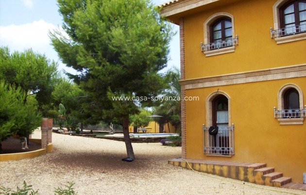Resale - Country Property/Finca - Ciudad Quesada - Lo Pepin