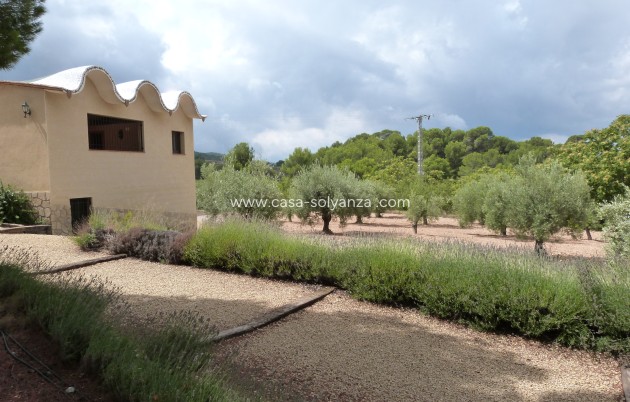 Reventa - Country Property/Finca - Ibi - Ibi - Country