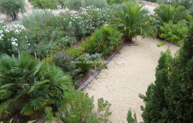 Reventa - Country Property/Finca - Ibi - Ibi - Country
