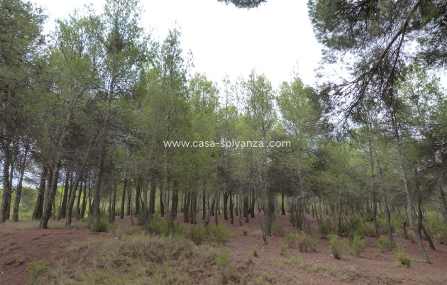 Reventa - Country Property/Finca - Ibi - Ibi - Country