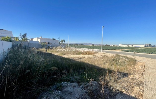 Herverkoop - Land - Formentera de Segura - Costa Blanca
