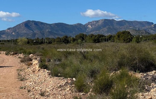 Herverkoop - Country Property/Finca - Aledo - Other