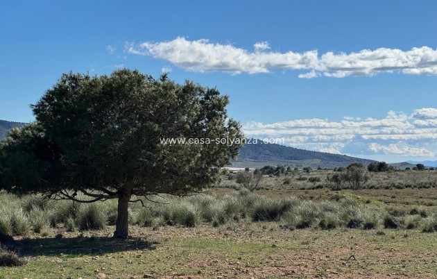 Herverkoop - Country Property/Finca - Aledo - Other