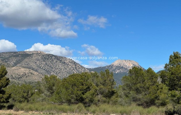 Herverkoop - Country Property/Finca - Aledo - Other