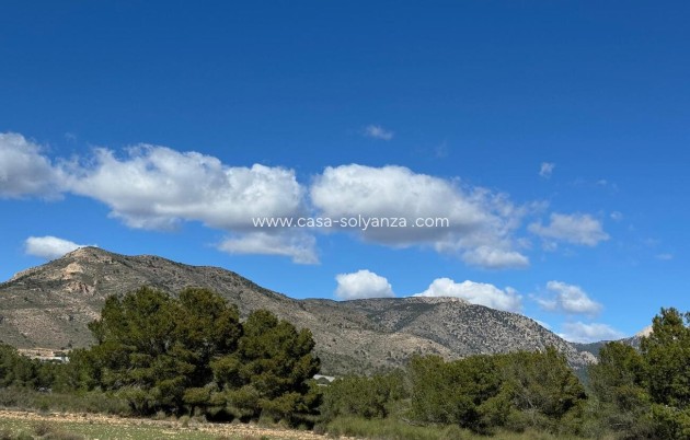 Herverkoop - Country Property/Finca - Aledo - Other