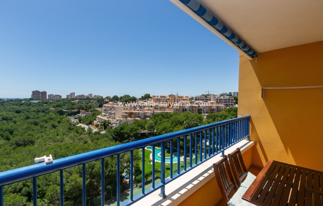 Herverkoop - Appartement / flat - Campoamor - Dehesa de Campoamor