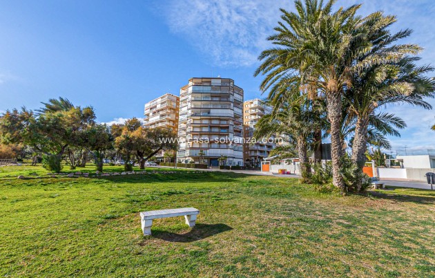 Herverkoop - Appartement / flat - Campoamor - Dehesa de Campoamor