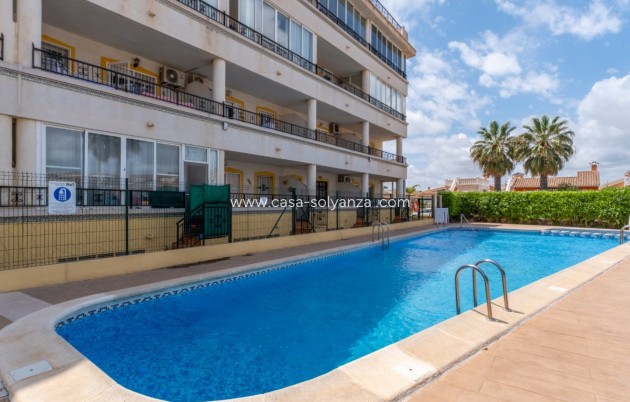 Herverkoop - Appartement / flat - Orihuela Costa - Costa Blanca