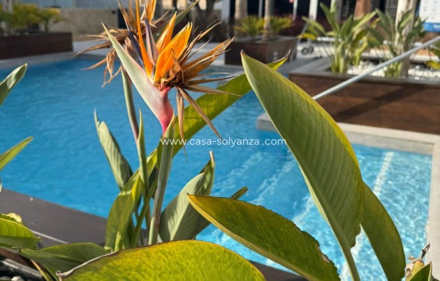 Herverkoop - Appartement / flat - Orihuela Costa - Rocio del Mar