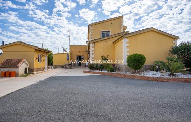 Herverkoop - Villa - Elche - Costa Blanca