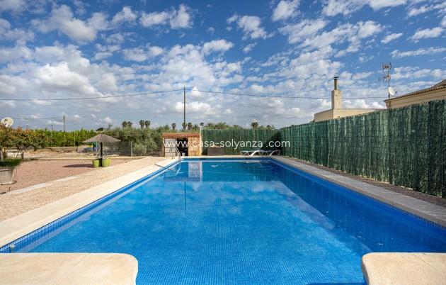 Herverkoop - Villa - Elche - Costa Blanca