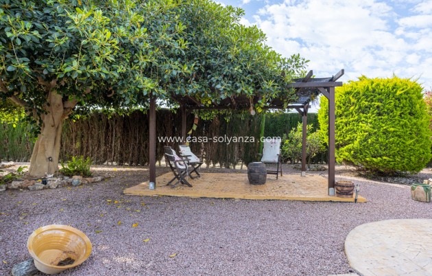 Herverkoop - Villa - Elche - Costa Blanca