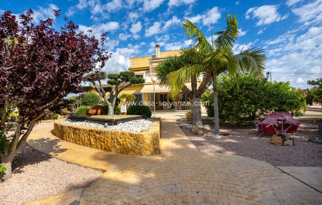 Herverkoop - Villa - Elche - Costa Blanca
