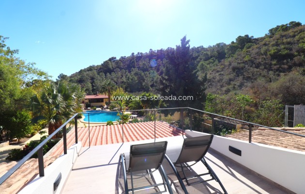 Wiederverkauf - Country Property/Finca - Aspe