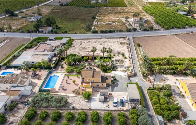 Herverkoop - Villa - Elche - Costa Blanca