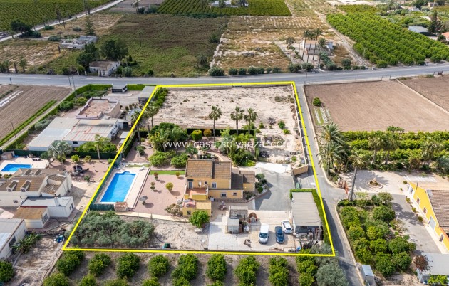 Herverkoop - Villa - Elche - Costa Blanca