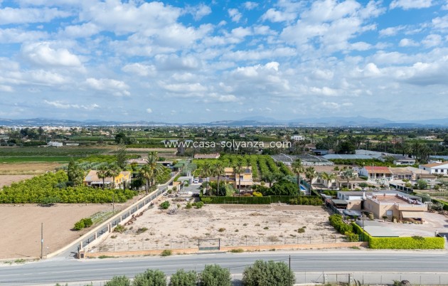 Herverkoop - Villa - Elche - Costa Blanca