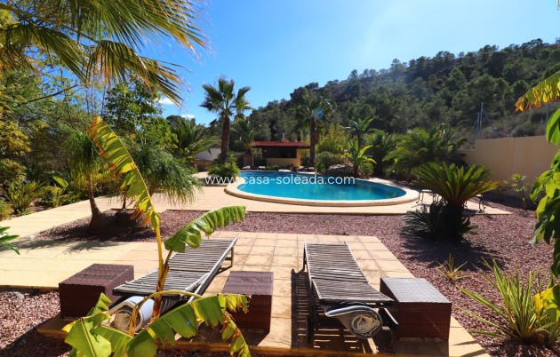 Wiederverkauf - Country Property/Finca - Aspe
