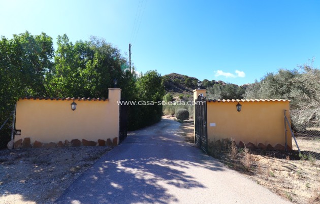Wiederverkauf - Country Property/Finca - Aspe