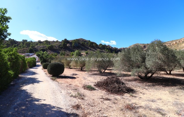 Wiederverkauf - Country Property/Finca - Aspe