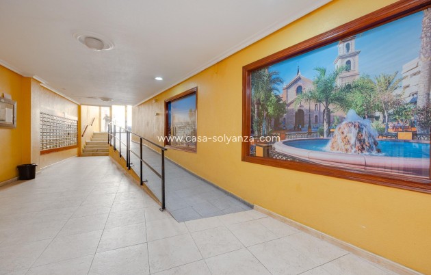 Herverkoop - Appartement / flat - Torrevieja - Center