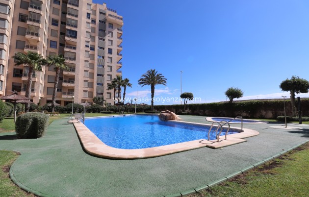 Revente - Appartement - Guardamar del Segura - Guardamar del Segura - Town