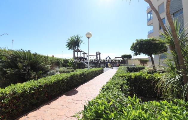 Revente - Appartement - Guardamar del Segura - Guardamar del Segura - Town