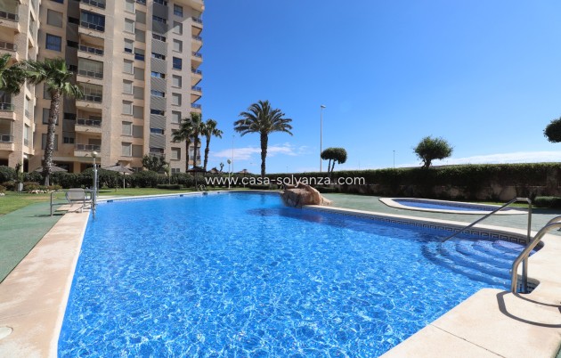 Revente - Appartement - Guardamar del Segura - Guardamar del Segura - Town