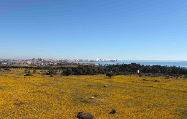 Herverkoop - Appartement / flat - Orihuela Costa - Costa Blanca