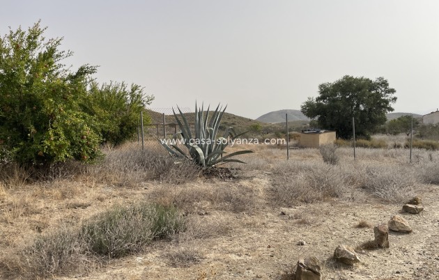 Herverkoop - Country Property/Finca - La Pinilla - Inland