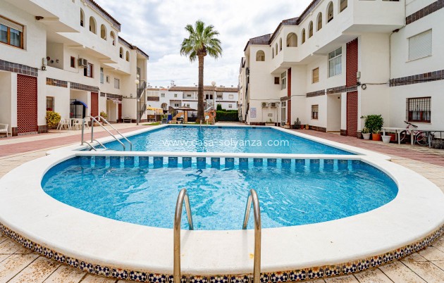 Herverkoop - Apartament - Punta Prima