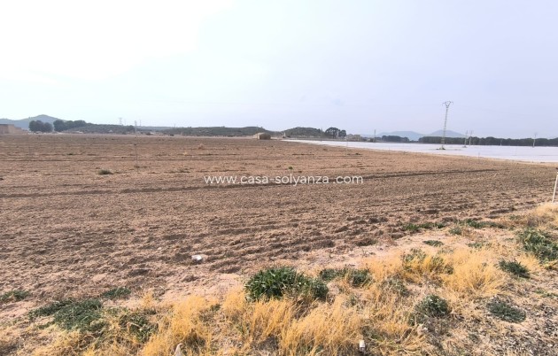 Reventa - Land - Villena - Inland