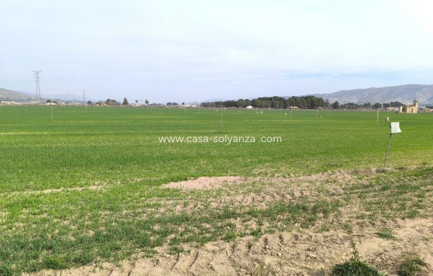 Reventa - Land - Villena - Inland