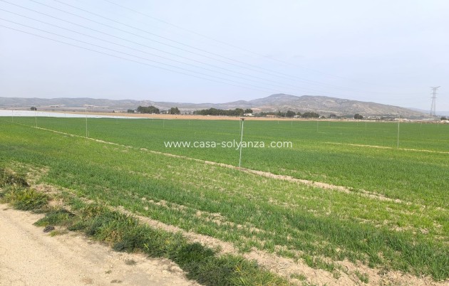 Reventa - Land - Villena - Inland