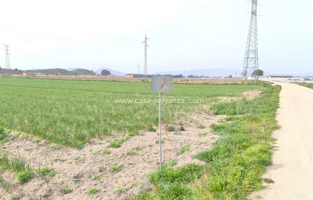 Reventa - Land - Villena - Inland