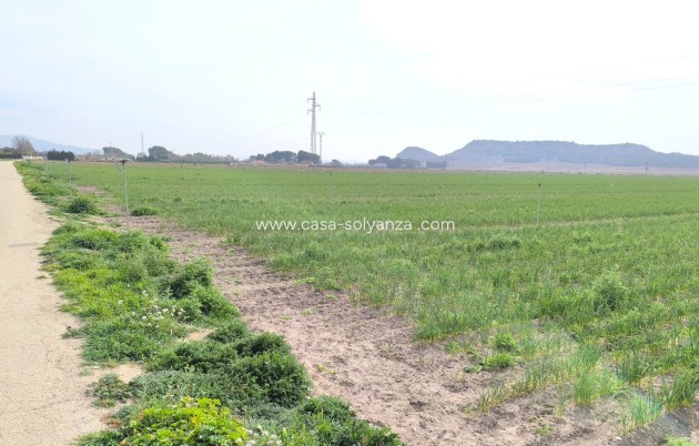Reventa - Land - Villena - Inland