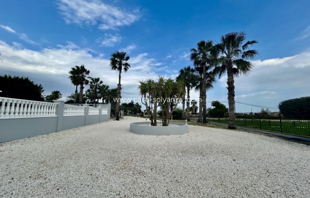 Herverkoop - Villa - Catral - Costa Blanca
