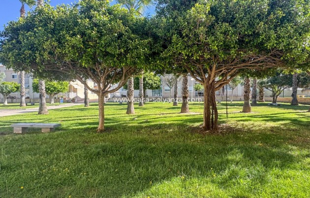 Herverkoop - Appartement / flat - Torrevieja - Costa Blanca