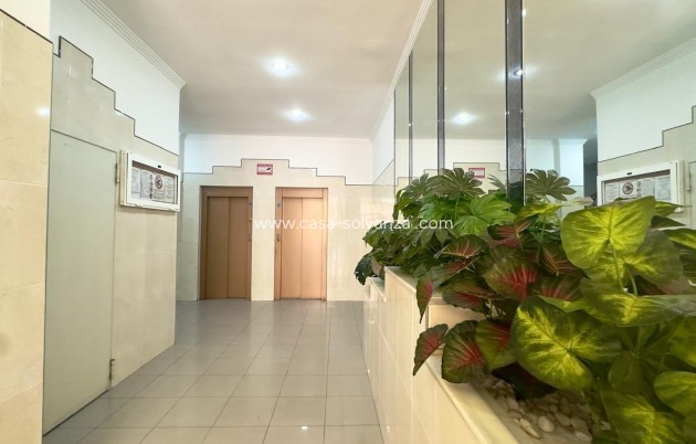 Herverkoop - Appartement / flat - Torrevieja - Center
