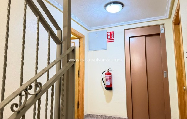 Herverkoop - Appartement / flat - Benijofar - Pueblo 4