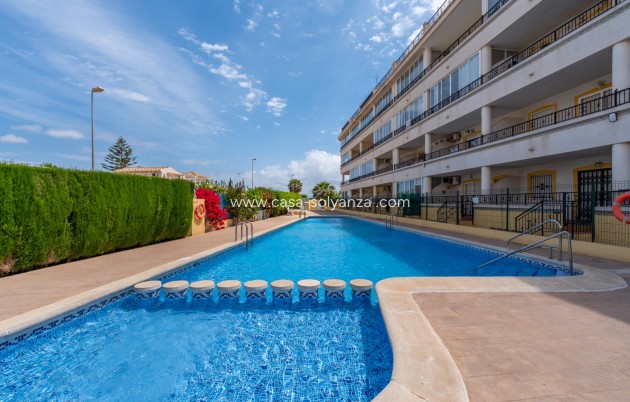 Reventa - Apartamento / piso - Playa Flamenca