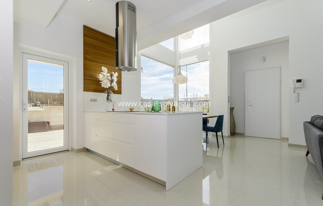 Obra nueva - Villa - Los Montesinos - La Herrada