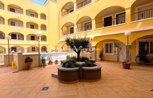 Herverkoop - Appartement / flat - Algorfa
