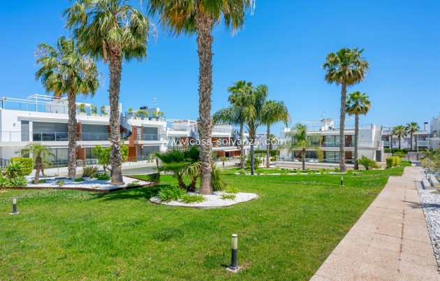 Herverkoop - Appartement / flat - Orihuela Costa - Punta Prima