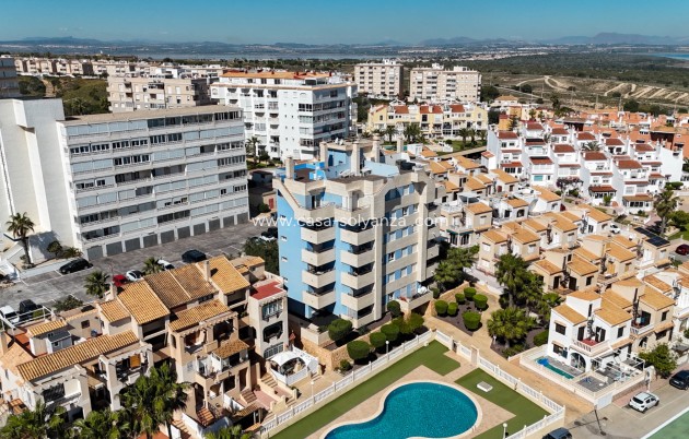Herverkoop - Appartement / flat - Torrevieja - La Mata