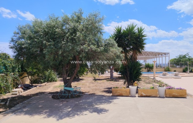 Herverkoop - Country Property/Finca - Los Montesinos - Costa Blanca
